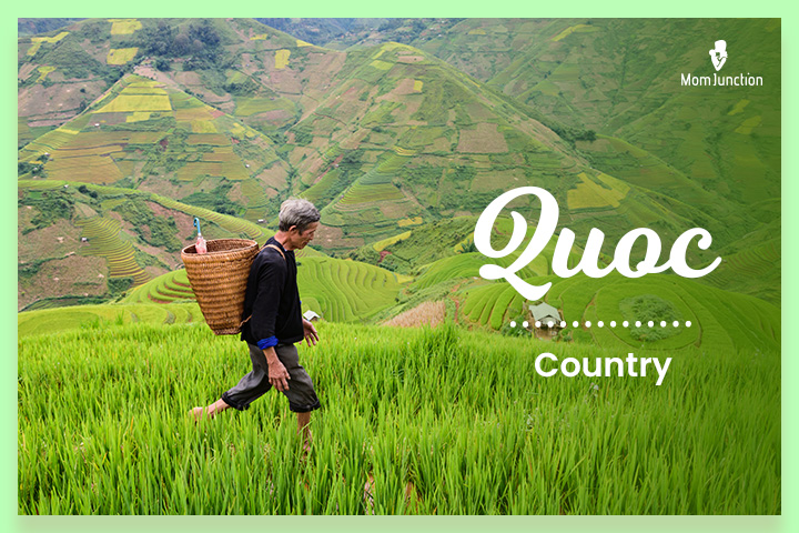 Quoc意味着国家,越南的姓