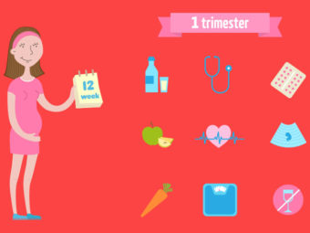The First Trimester Of Pregnancy Guide And What To Expect