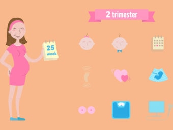 The Second Trimester Of Pregnancy: Guide And What To Expect