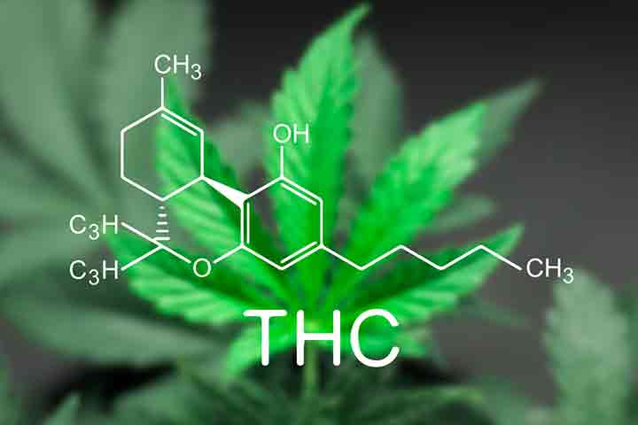 THC in marijuana is high