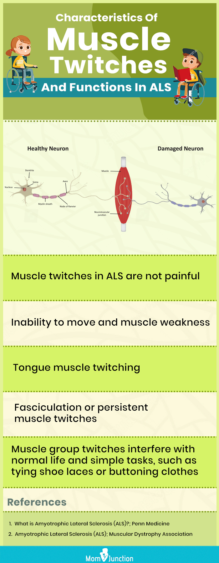 characteristics of muscle twitches and functions in als (infographic)
