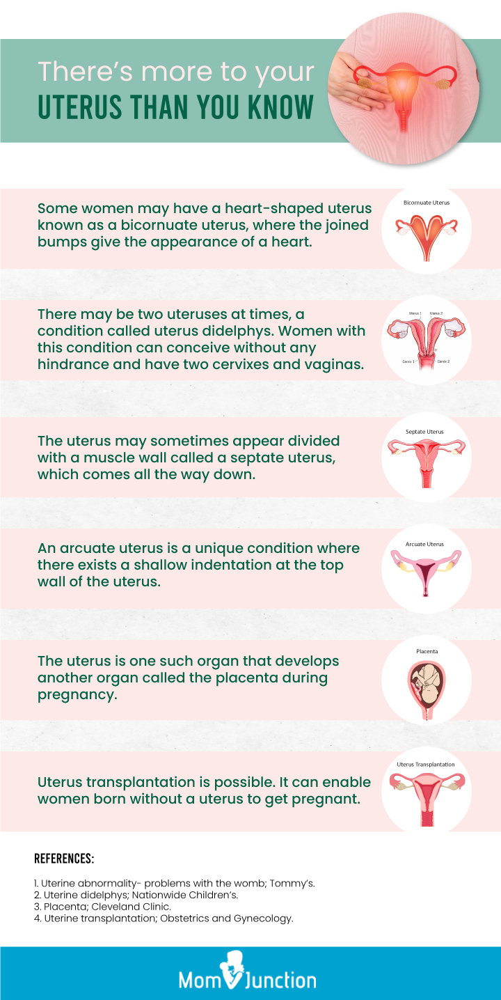 there is more to your uterus than you know (infographic)