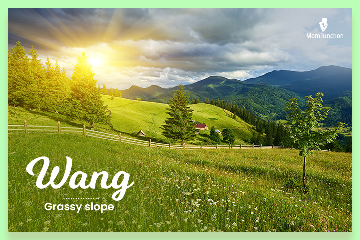 Wang refers to a grassy slope