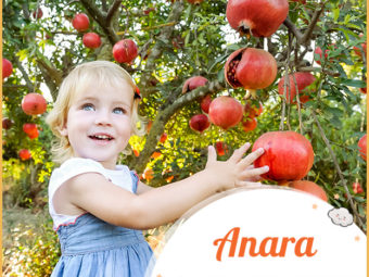 Anara, a radiant name that embodies the beauty and resilience of nature.