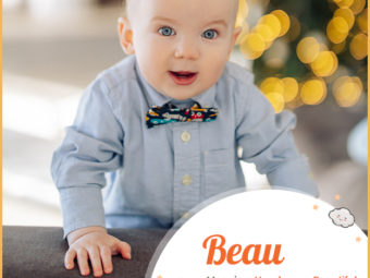 Beau, a handsome name
