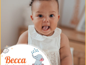 Becca, a Hebrew name