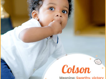 Colson, meaning swarthy or victory of people.
