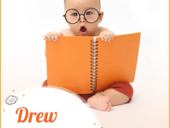 Drew, meaning the wise and brave