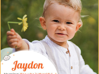 Jaydon, one who is thankful to God