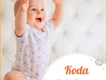 Koda, a unisex name