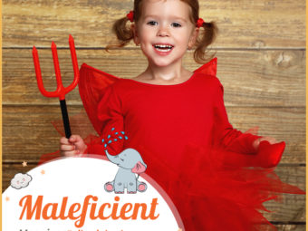 Malficent means evil and wicked