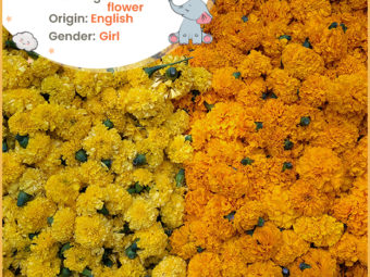 Marigold, derived from a flower name