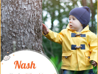 Nash, English name meaning at the ash tree
