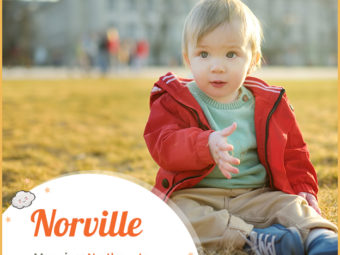 Norville, a habitational name for boys