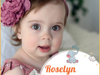Roselyn, a lovely girl