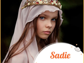 Sadie, a little princess