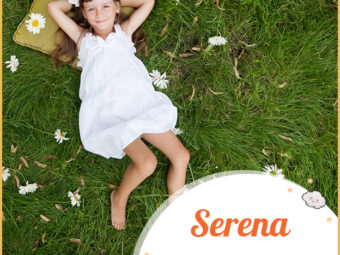 Serena, a peaceful positive name