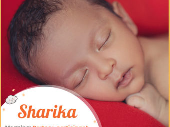 Sharika means partnership