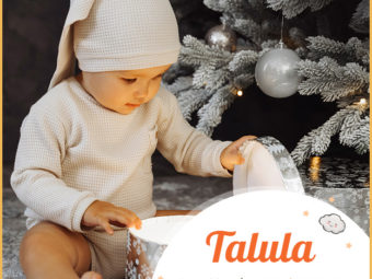 Talula, a name that means leaping water.