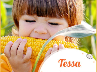Tessa, a cute harvester