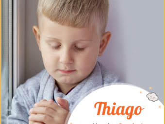 Thiago means supplanter
