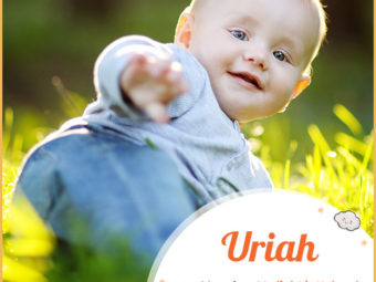 Uriah means flame of god