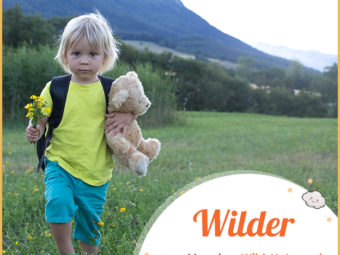 Wilder meaning Wild, Untamed,