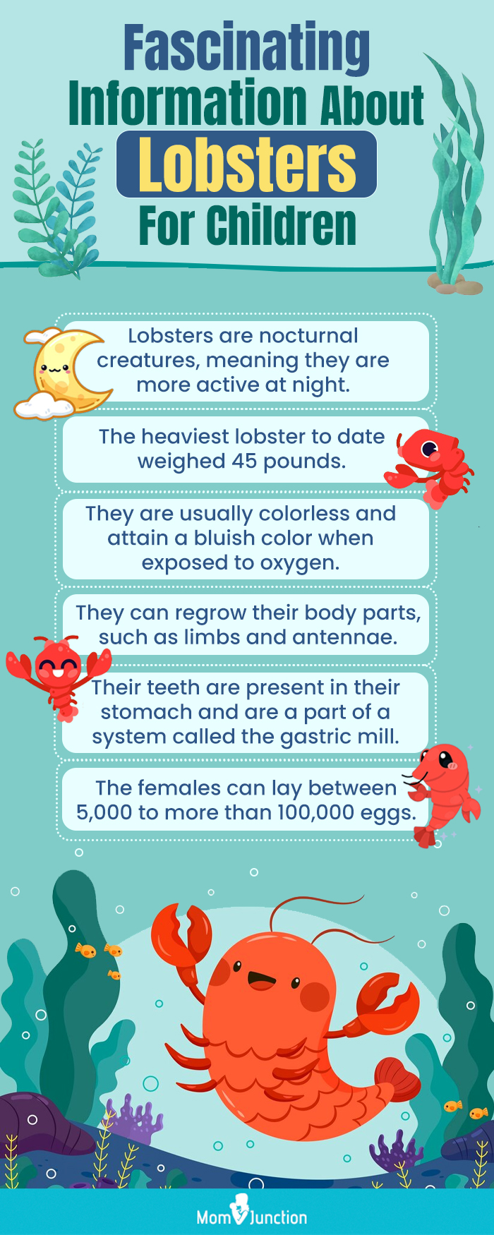 fascinating information about lobsters for children (infographic)