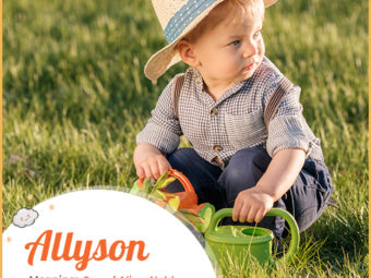 Allyson, meaning son of Alice