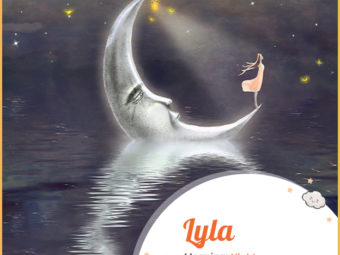 Lyla, Night