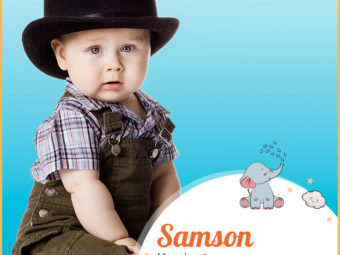 Samson, a name that carries a legacy of power and resilience