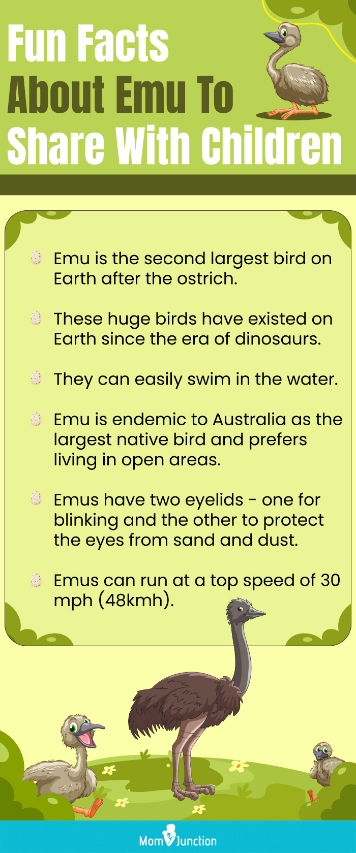 fun facts about emu to share with children (infographic)