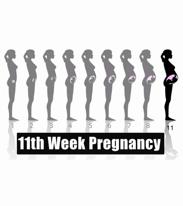 怀孕第11周:症状，婴儿发育和提示