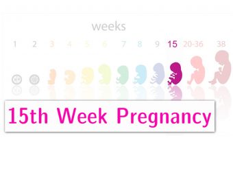 15 th-week-pregnancy2