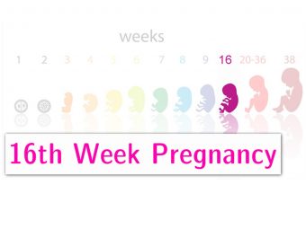 16 th-week-pregnancy