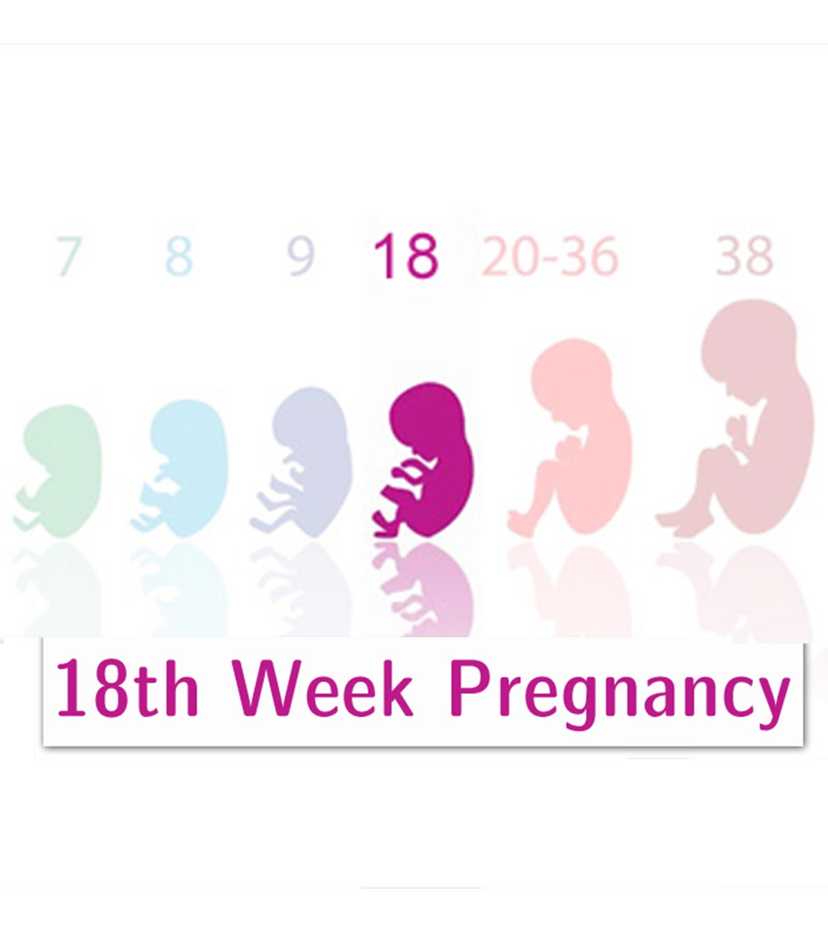 怀孕18周:症状和婴儿发育