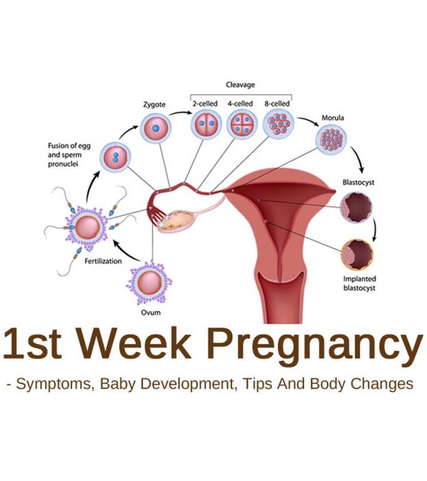 怀孕一周:症状，婴儿发育和注意事项