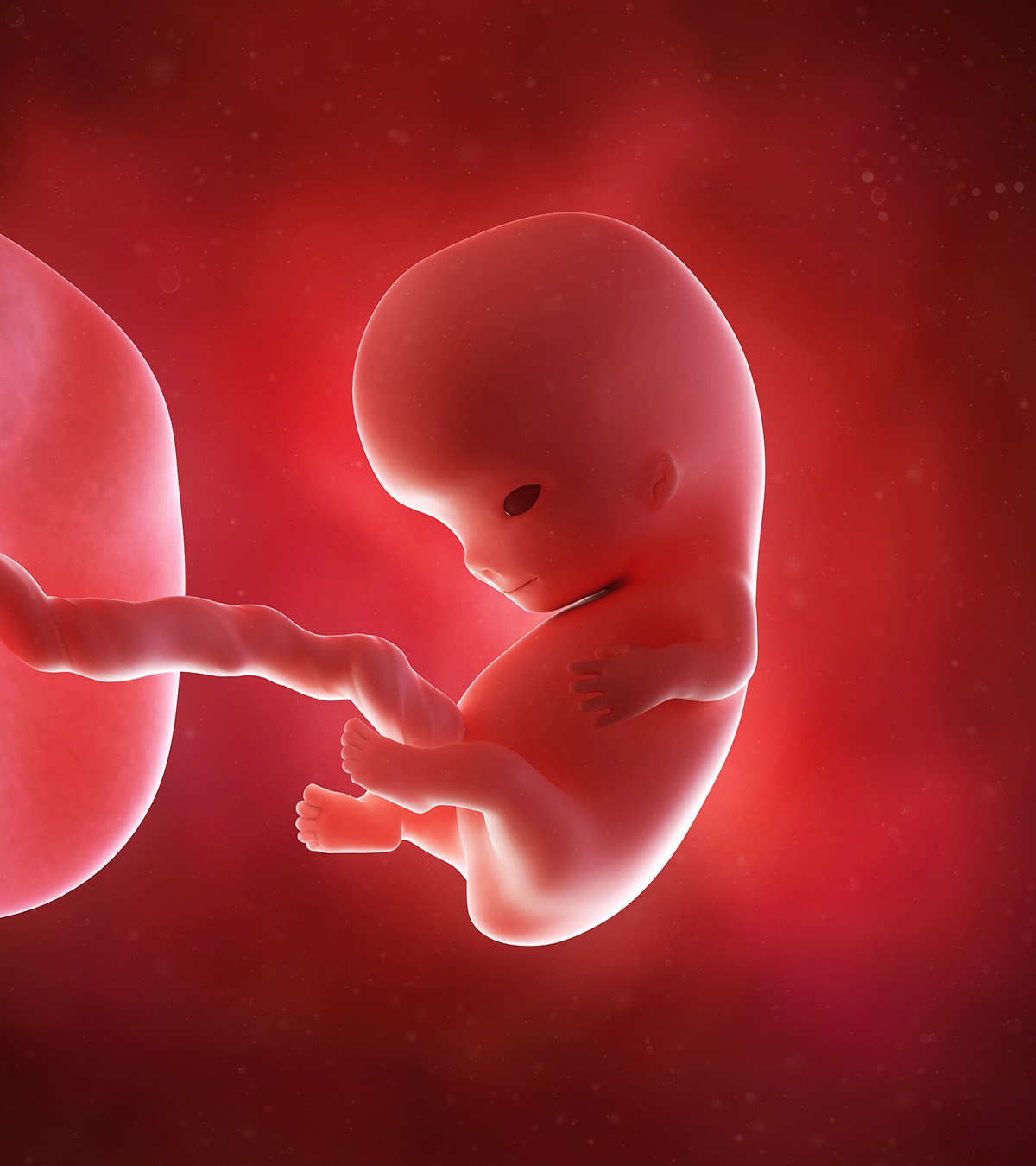 怀孕9周:婴儿发育、症状和注意事项