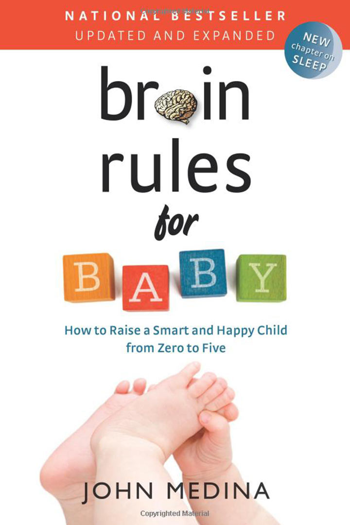 婴儿的大脑规则
