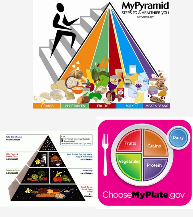 食物金字塔对儿童和青少年的重要性是什么?