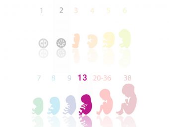第13周妊娠症状，婴儿发育和身体变化