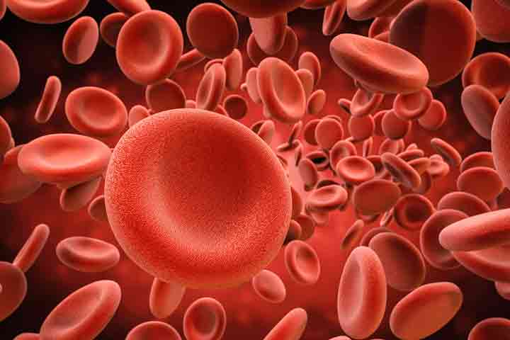 叶酸促进红细胞计数，叶酸在怀孕
