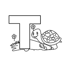 The-T-for-Tortoise-16