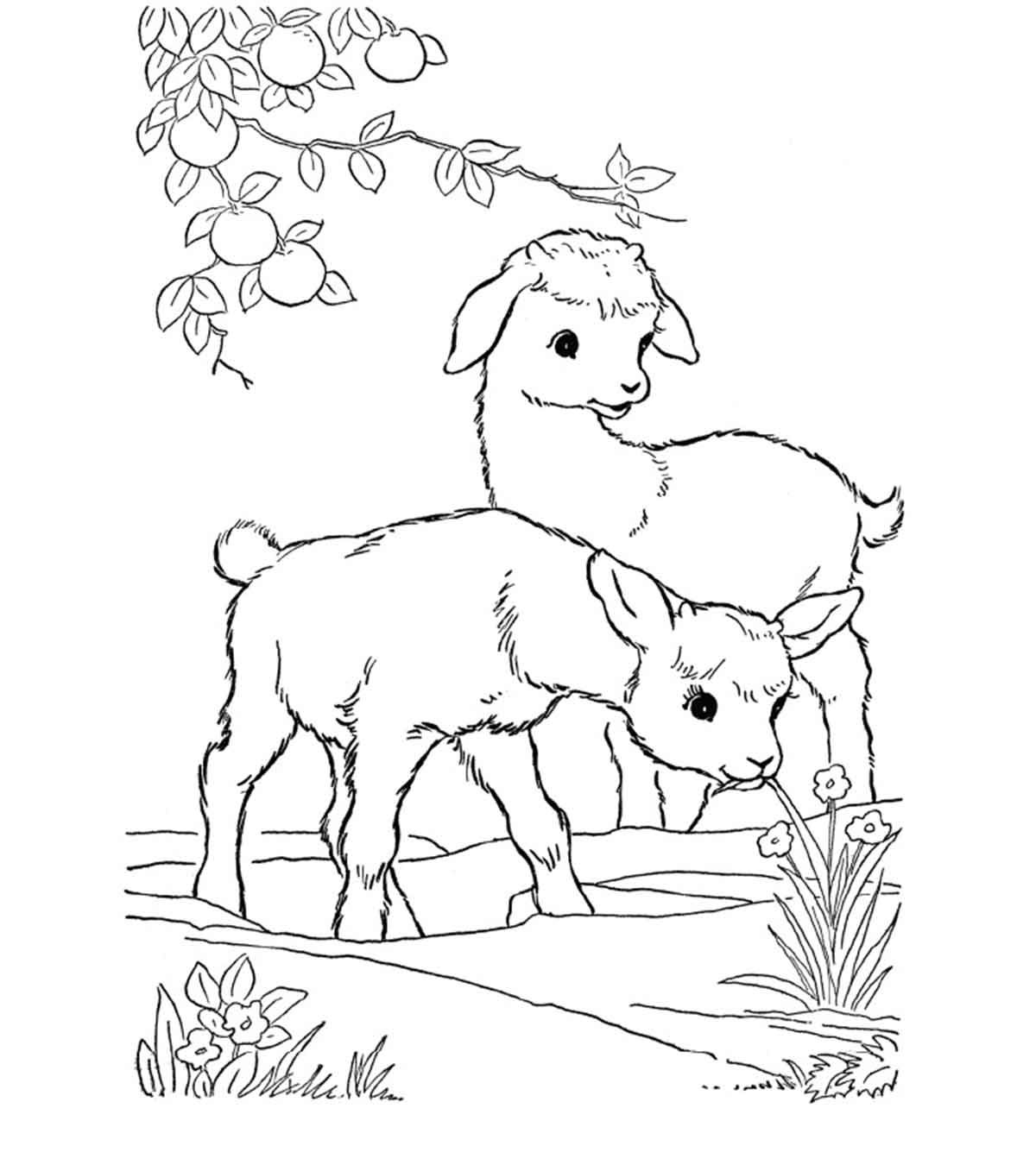 25个可爱的山羊涂色页给你的孩子万博体育手机官方网站登录