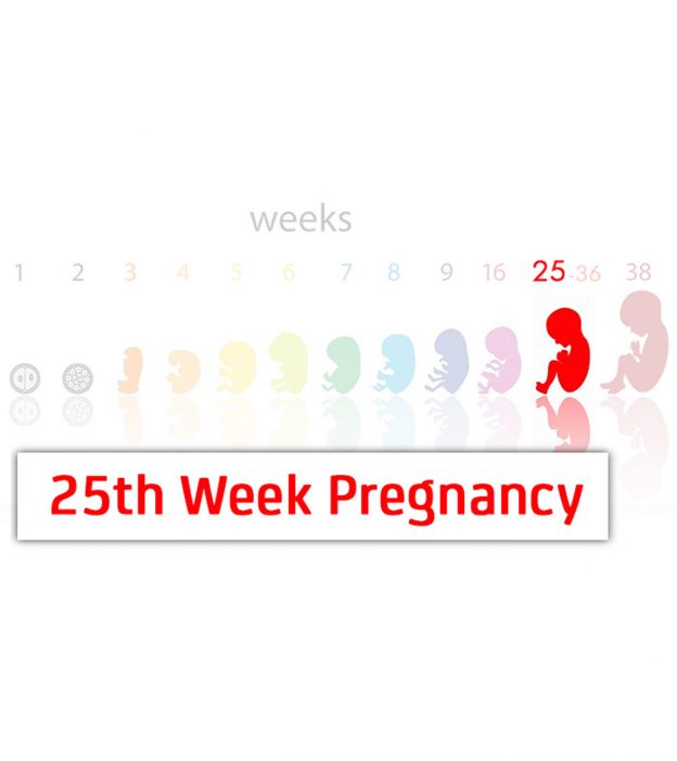 怀孕25周:症状，婴儿发育和成长