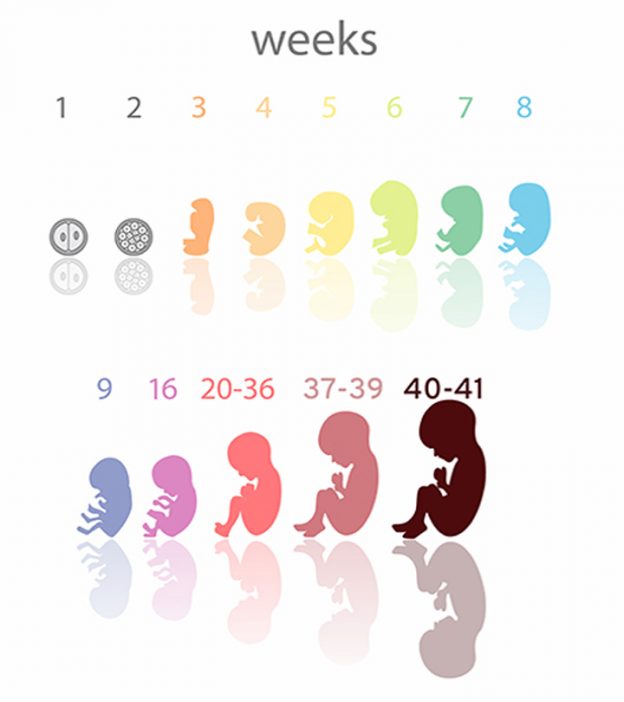 关于怀孕第10个月你需要知道的一切