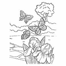 Butterflies in spring coloring page
