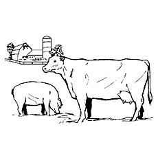 免费涂色页奶牛与猪