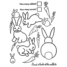 兔子涂色页