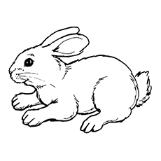 可爱兔子的可打印着色页